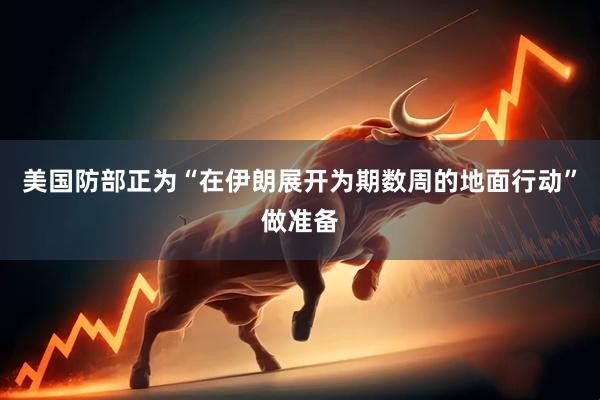 美国防部正为“在伊朗展开为期数周的地面行动”做准备