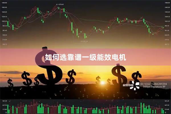 如何选靠谱一级能效电机