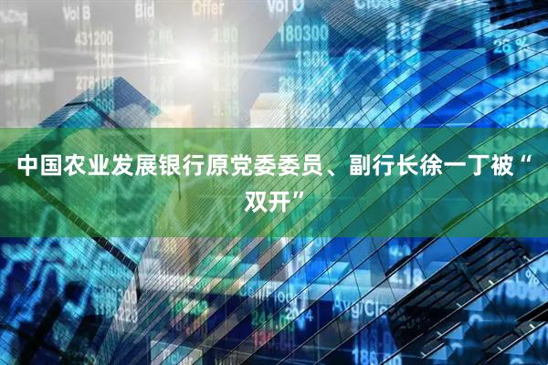 中国农业发展银行原党委委员、副行长徐一丁被“双开”